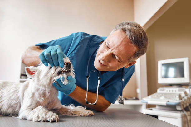 Best Emergency Tooth Extraction in Barrackville, WV